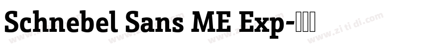 Schnebel Sans ME Exp字体转换